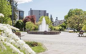 Alyvų tako studija